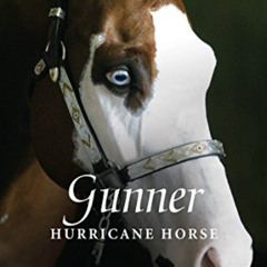 [Read] EPUB 💖 Gunner: Hurricane Horse (True Horse Stories) by  Judy Andrekson &  Dav