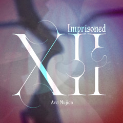 Ave Mujica - Imprisoned XII (Instrumental Cover)