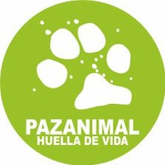 Podcats Paz Animal