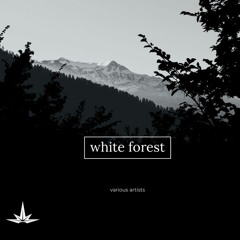 Various Artists - White Forest