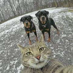 DO YOU THINK ABOUT NE?