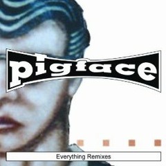 Pigface - Everything (Louis Guidone Extended Remix)