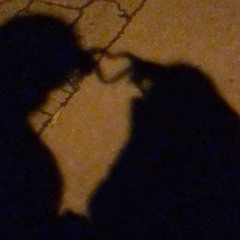 buồn không thể buông / SpeedSongs #13