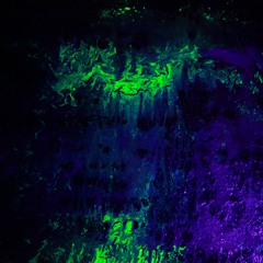 Echoes of the Lucid Circuit