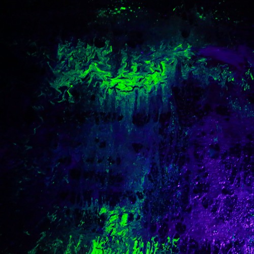 Echoes of the Lucid Circuit