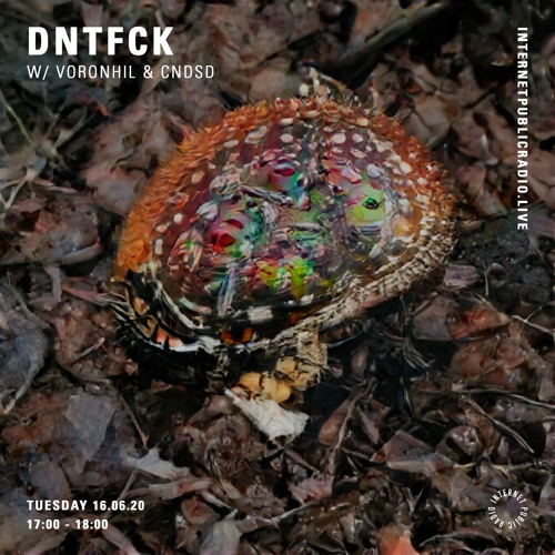 DNTFCK on Internet Public Radio - Voronhil & CNDSD