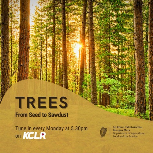 Trees: From Seed to Sawdust Episode 1