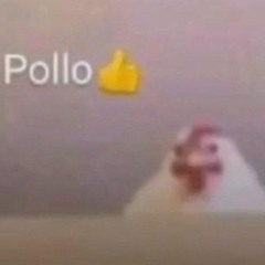🐔🐔🐔🐔🐔🐔🐔🐔🐔🐔🐔🐔 balbala.co.il👹👹👹🤱👫👯‍♀️👯‍♀️🧏‍♀️🧍‍♂️