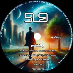 Junior Legh, Valeroz - Walk In The Rain (Original Mix)