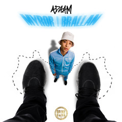 ABTI (speed up) ADAAM