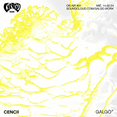 Lingo Radio On Air #1 W/ CENCII