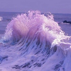 cornandbeans - {Violet}