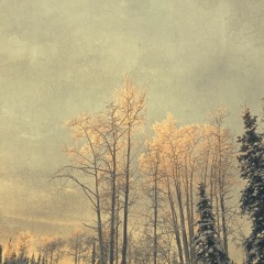 Tristan De Liège, Gregory Allison & Taylor Mackall - Threads