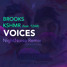 Voices (NightNoise Remix)