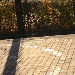 donvtello x opti mane x morten - el pan.rmx