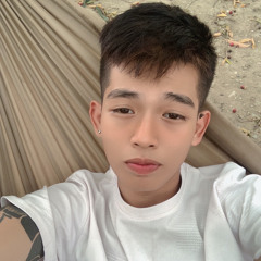 NST NGU LÀ NGHẺ - RMX 2K25 - TAN LOI