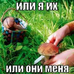 умбропринц+войстрип - грибное шоу