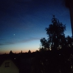 bin noch am Leben