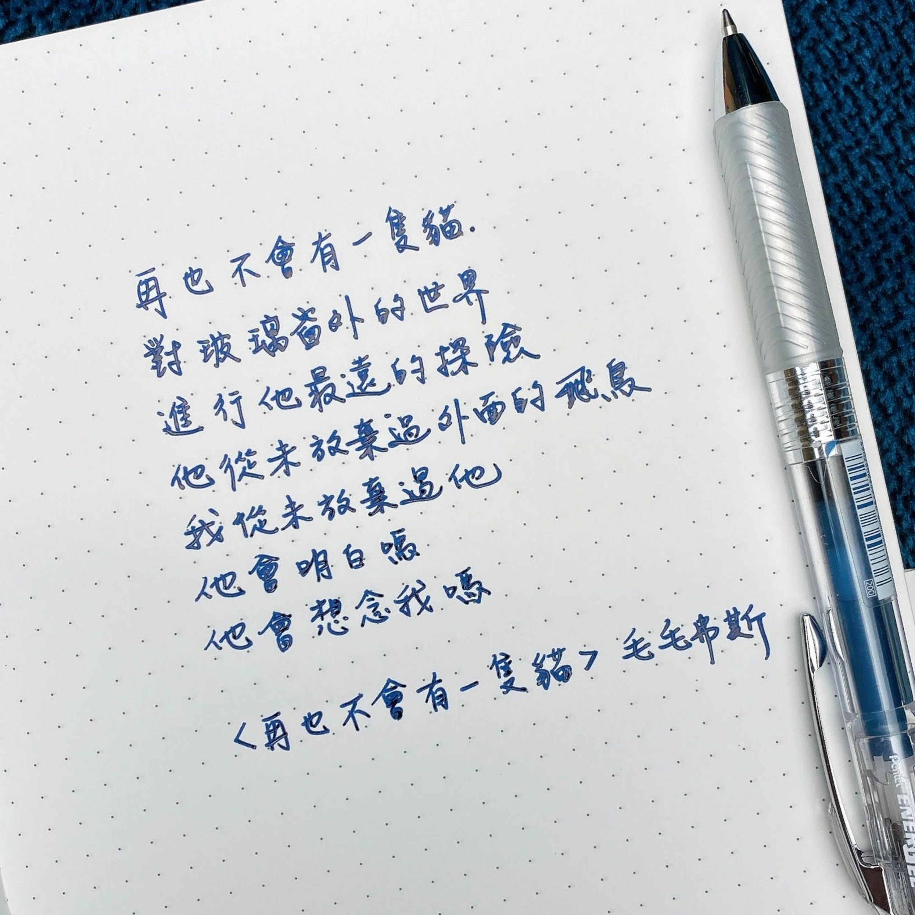 詩歌良藥－EP9「喵」：毛星人的魅力你能抵抗嗎！貓派還是狗派？今天是貓奴取暖大會，一起來讀「喵」詩歌！ episode artwork