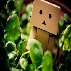 半价楽 (Prod.8clockwork)