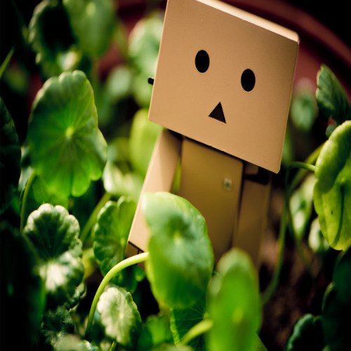 半价楽 (Prod.8clockwork)