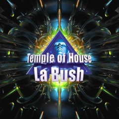 La Bush: Memories From the Temple of House 2 (2024)