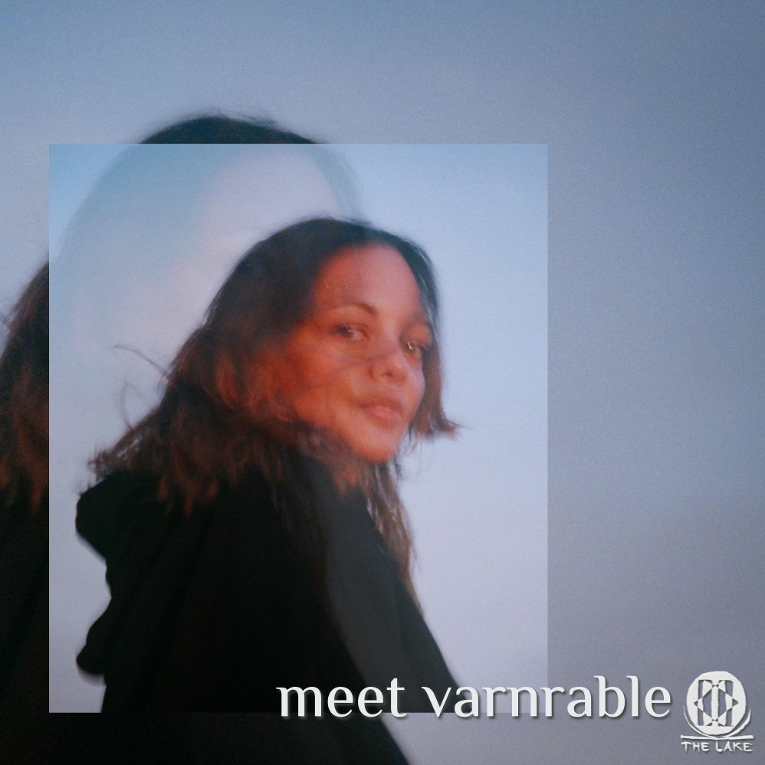 Meet Varnrable