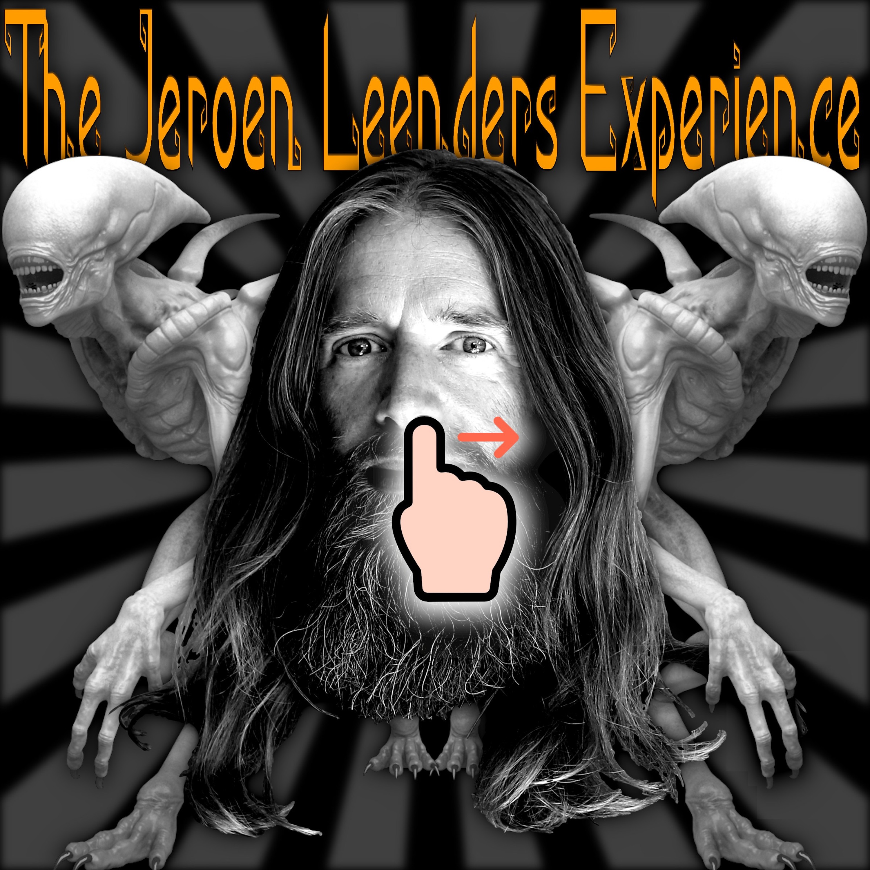 Jeroen Leenders Experience