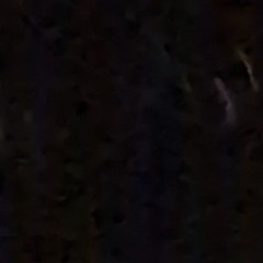 Discernment 2025 (Incomplete)