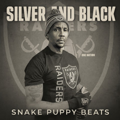 Silver And Black