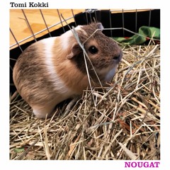Tomi Kokki - Nougat