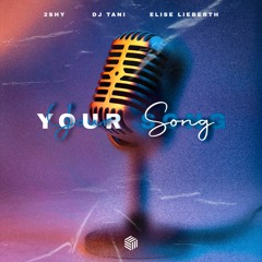 2Shy, Dj Tani & Elise Lieberth - Your Song