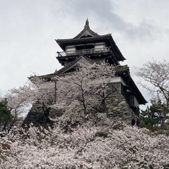 Maruoka Castle