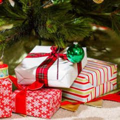 Sitting Under the Tree