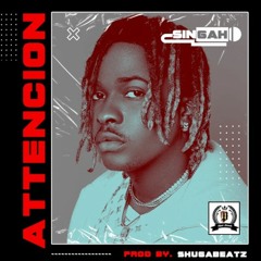 Singah-Attencion Remix X DJRAKZ 2021