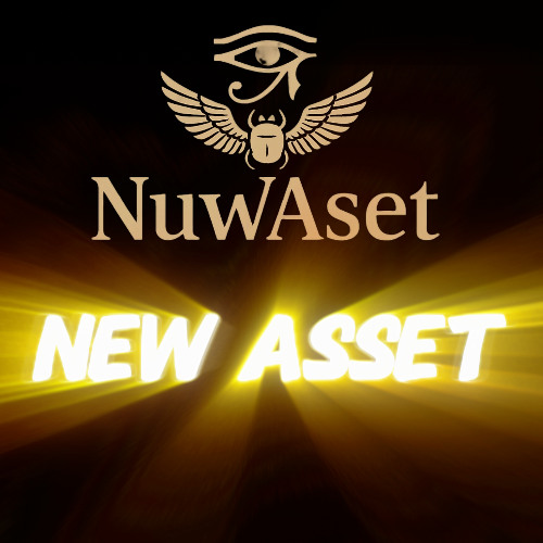 New Asset