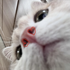 Falling In Love