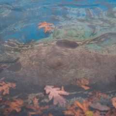 That Distant Shore - Steven Universe