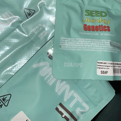 Lucio101 X omar101 ~ Viel zu bekifft