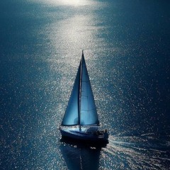 Starry Reverie (Original Remix)