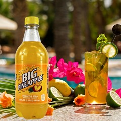 Pineapple Soda (Prod.Sonomichii & NSTLGA)