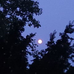 9-30_cx zhni_FWMyVibe_Remix