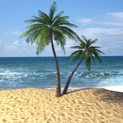 常夏の海 #2 フリーBGM DOVA-SYNDROME