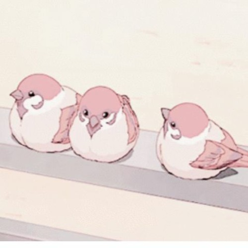 birds