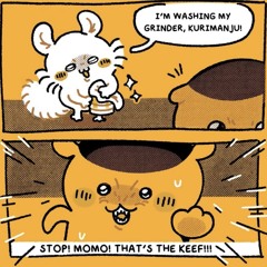 How to disappear