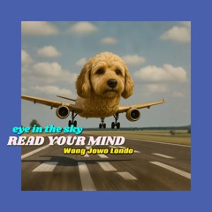 READ YOUR MIND eye in the sky deep tech mix
