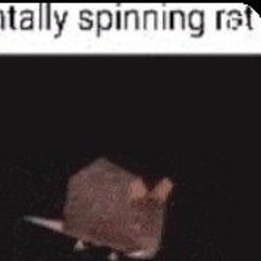Spinning rat meme