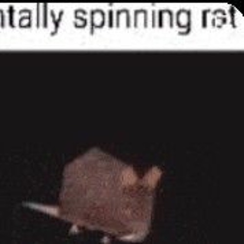 Spinning rat meme