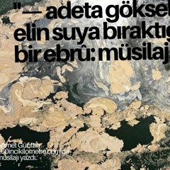 Müsilaj Nedir, Nedir bu müsilaj, Ahmet Güntan şiiri