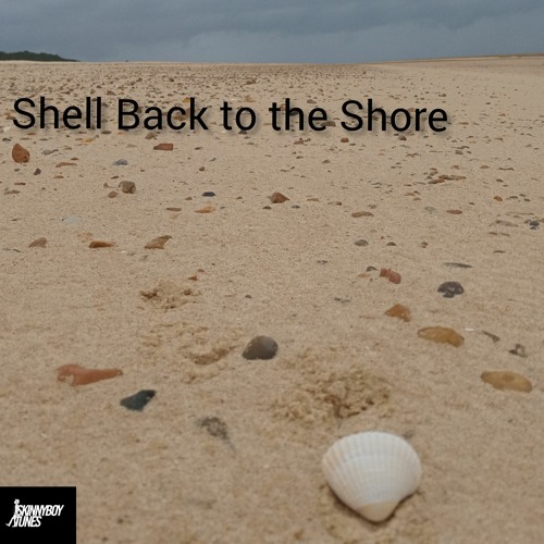 Shell Back to the Shore